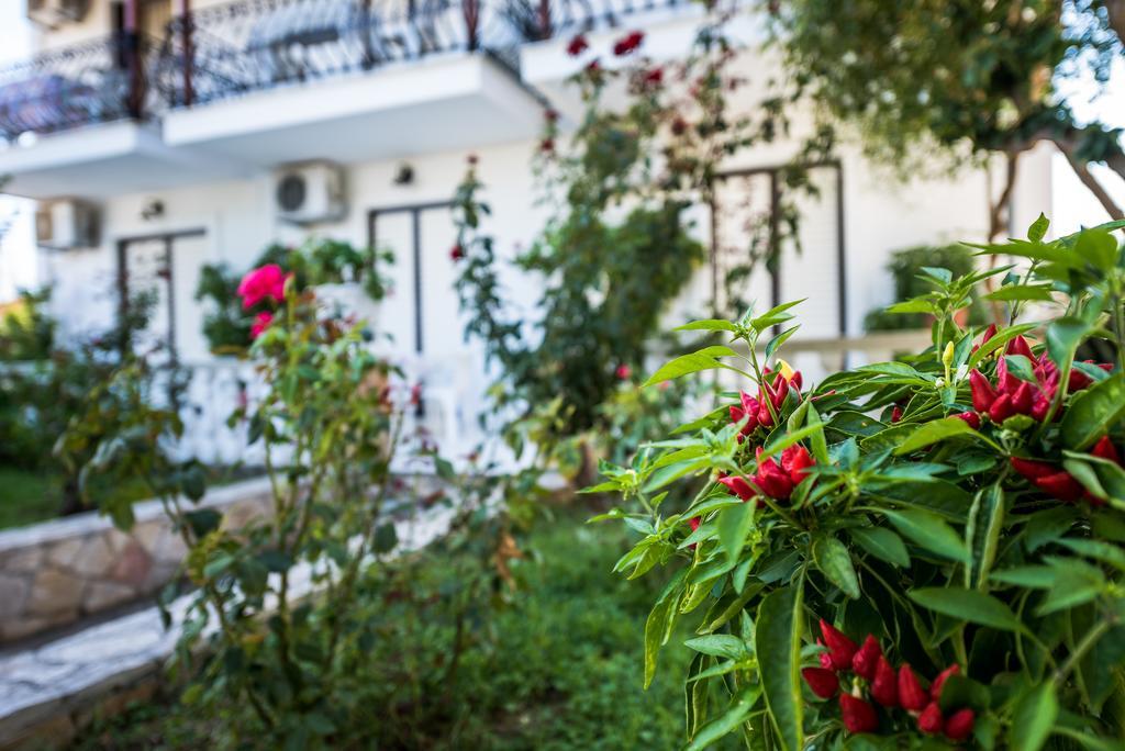 Apartament Avouris *